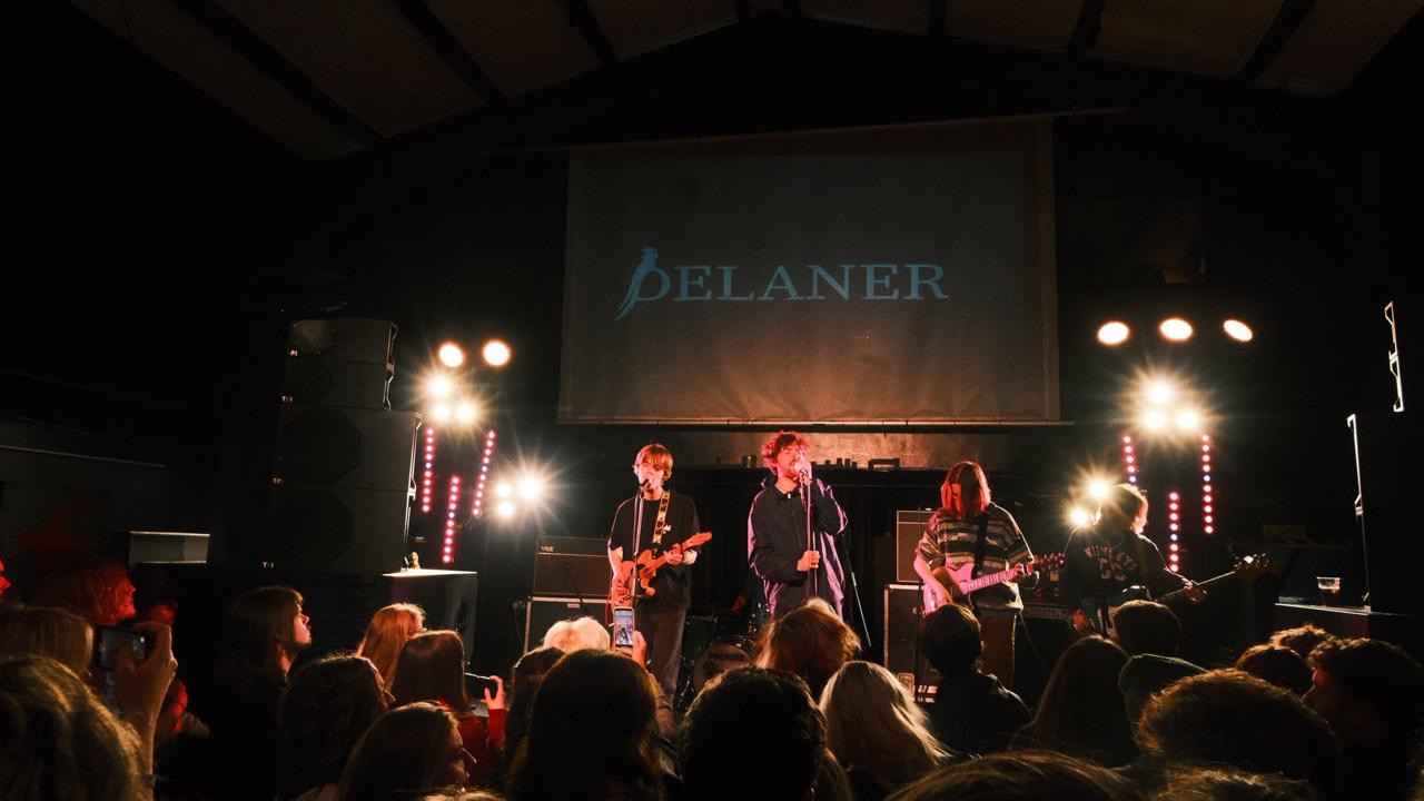 Delaner